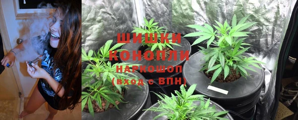 jwh Шадринск