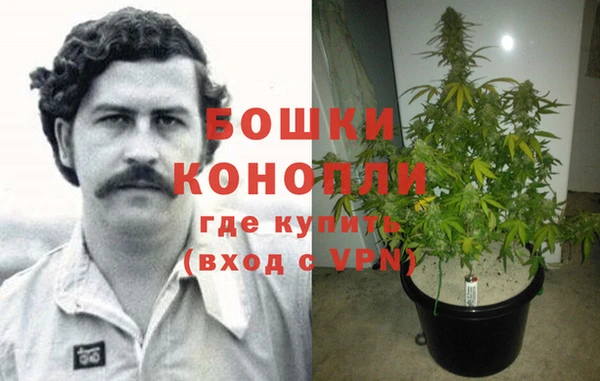 jwh Шадринск