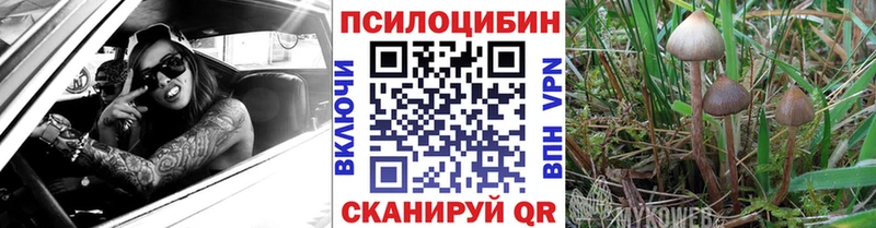 Псилоцибиновые грибы MAGIC MUSHROOMS  как найти наркотики  маркетплейс формула  Александров 