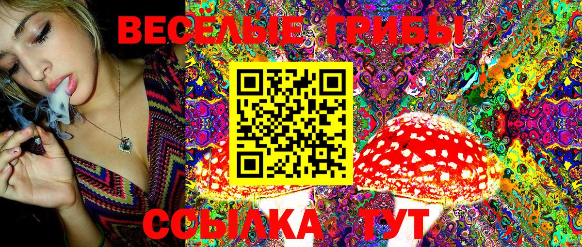 Галлюциногенные грибы Psilocybine cubensis  Псилоцибиновые грибы мухоморы  Вход с VPN  Александров 