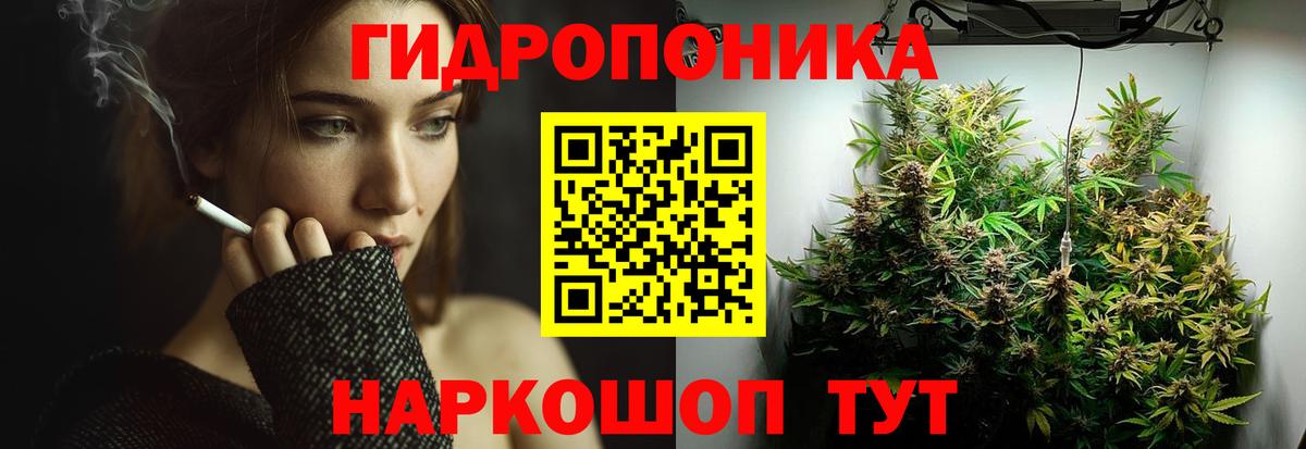 Бошки марихуана Ganja Александров